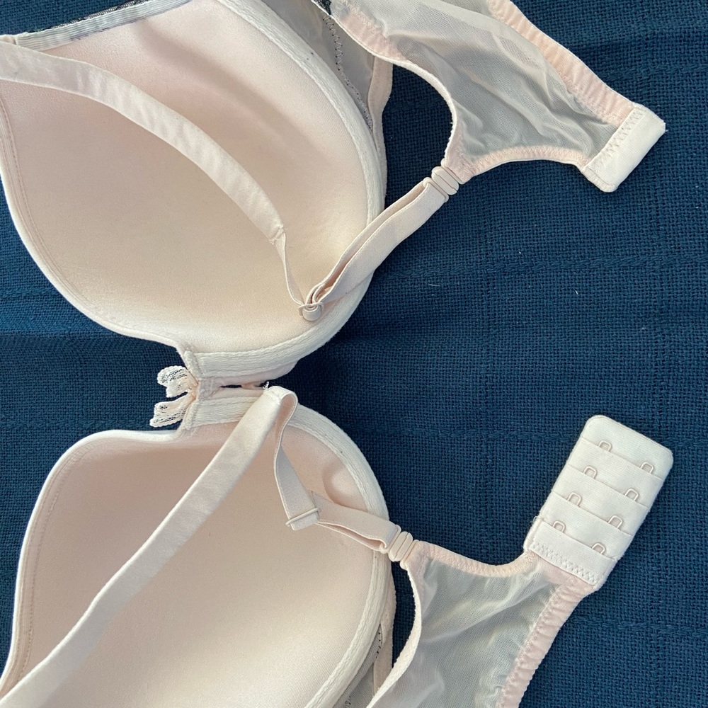 34d Vs Bra - image 3